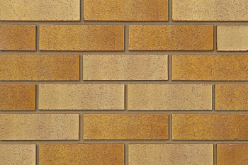   Tradesman Golden Buff Multi   IBSTOCK 215x102x65