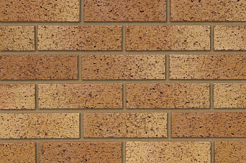   Bristol Buff Multi   Qbricks   IBSTOCK 215x102x65