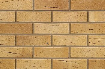   Surrey Yellow Multi   Qbricks   IBSTOCK 215x102x65