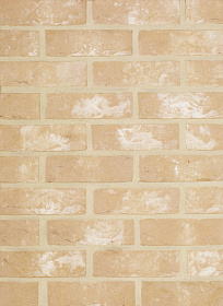   Alyssum   HEYLEN BRICKS 210x100x65