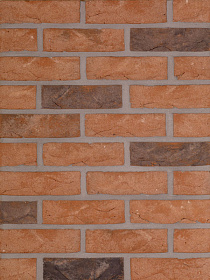   Welham Antique   HEYLEN BRICKS 210x100x65