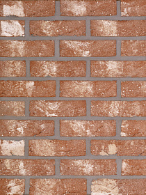   Neo Romaans   HEYLEN BRICKS 210x100x65