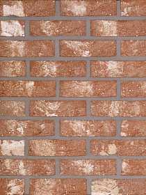   Neo Romaans   HEYLEN BRICKS 210x100x65