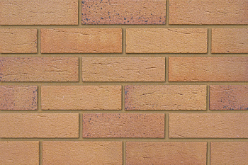   Brunswick Autumn   Qbricks   IBSTOCK 215x102x65