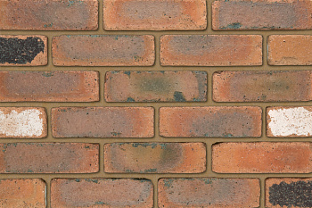   Cheshire Weathered   IBSTOCK 21510265