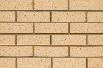   Stuart Buff   IBSTOCK 215x102x65