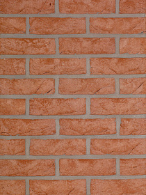    Rood   HEYLEN BRICKS 210x100x65