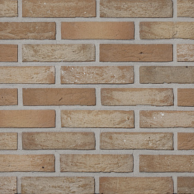   Oud Zuid   DAAS BAKSTEEN 215x102x52