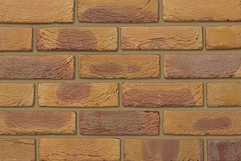   Bradgate Golden Purple   IBSTOCK 215x102x65