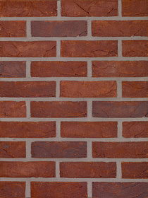   Pampas   HEYLEN BRICKS 210x100x65